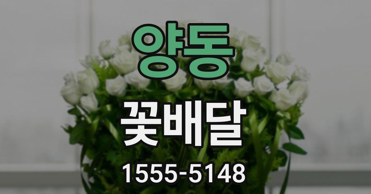 양동 꽃배달