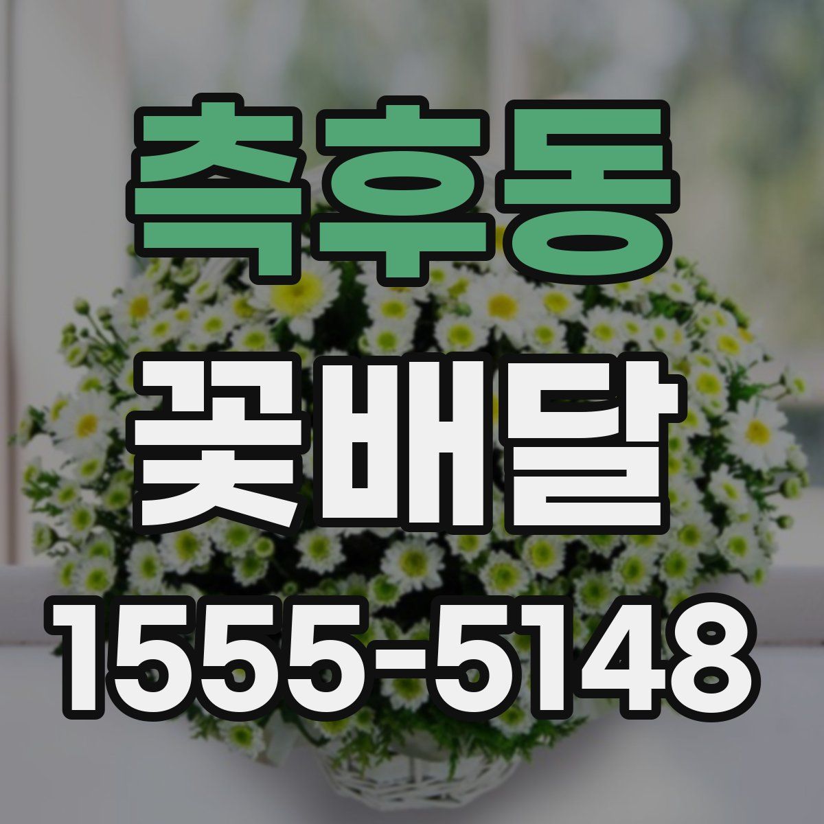 측후동 꽃배달