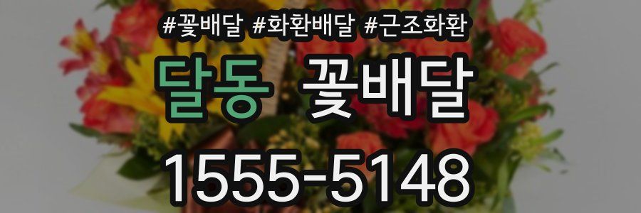 달동 꽃배달