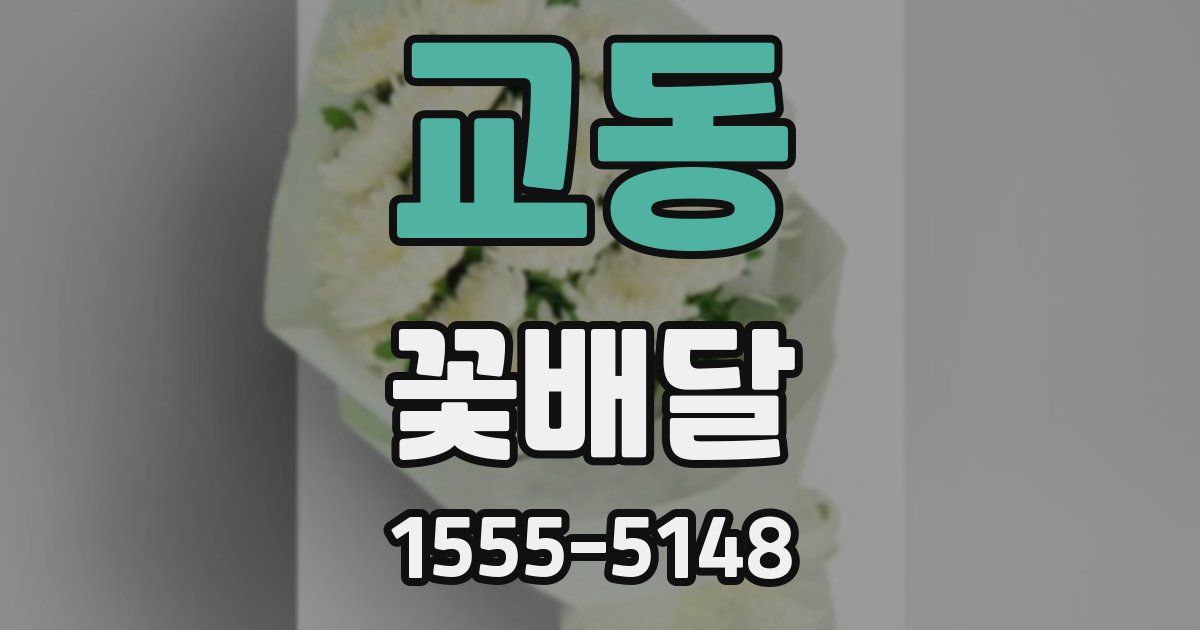 교동 꽃배달