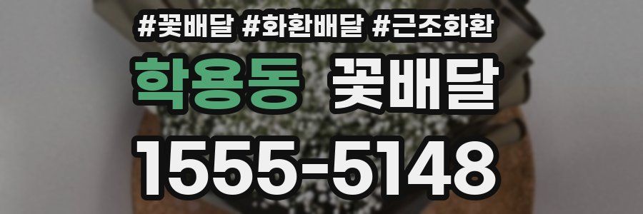 학용동 꽃배달