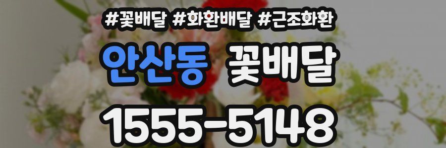 안산동 꽃배달
