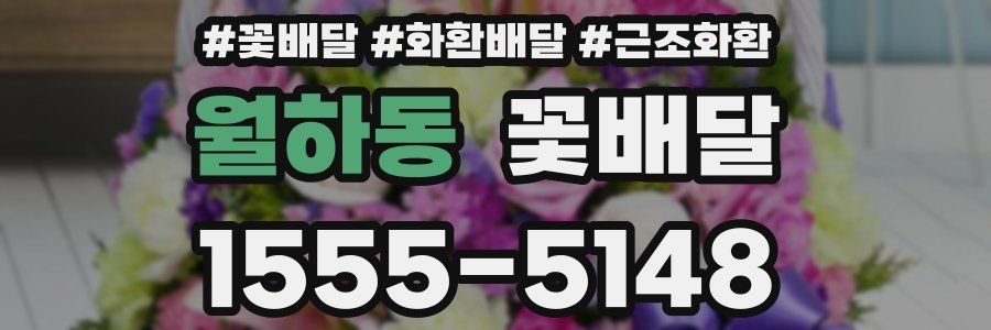 월하동 꽃배달