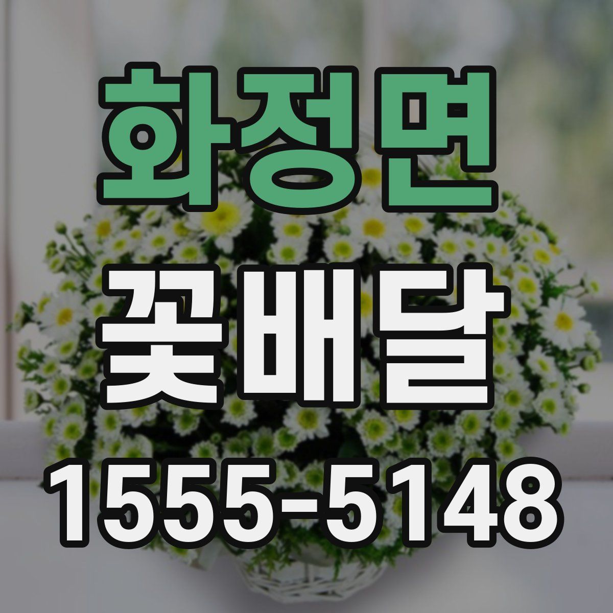 화정면 꽃배달