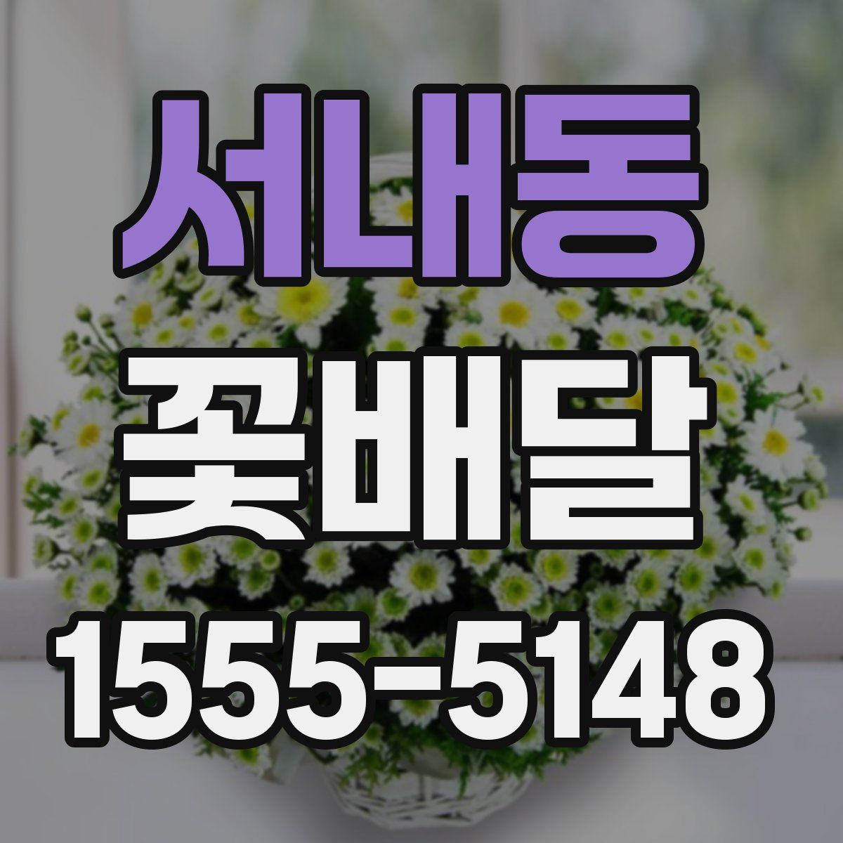 서내동 꽃배달