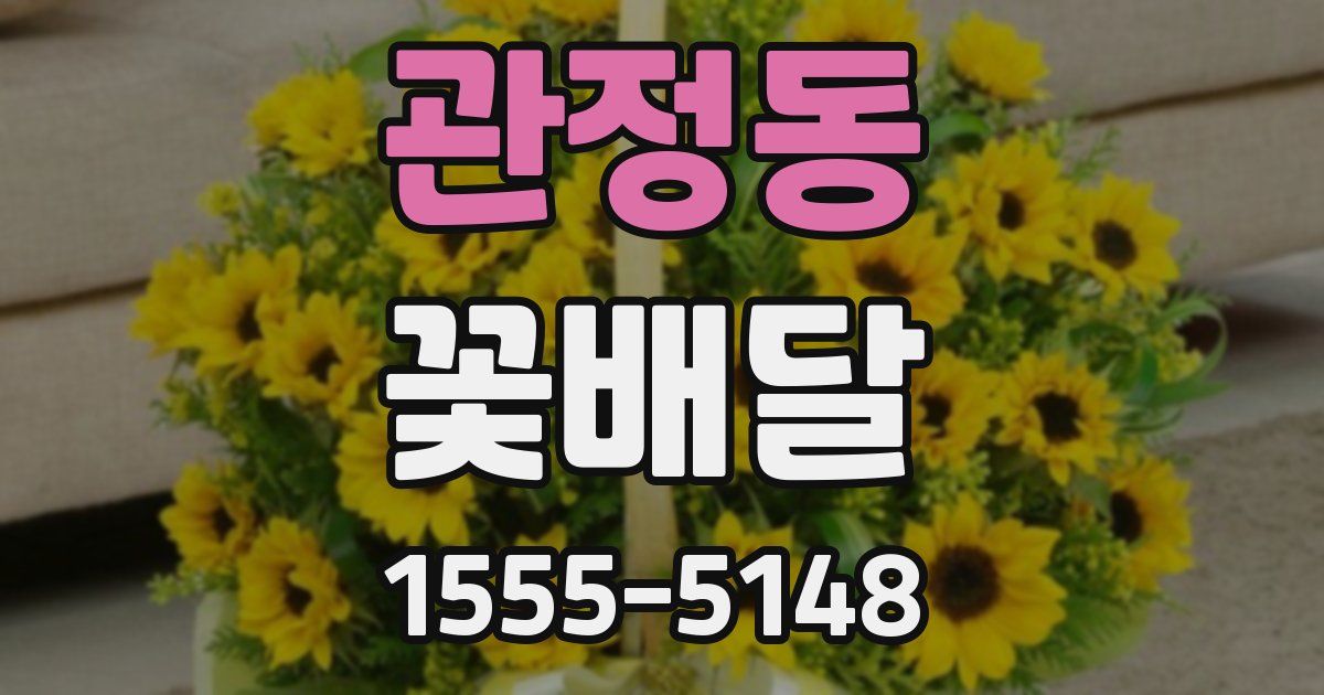 관정동 꽃배달