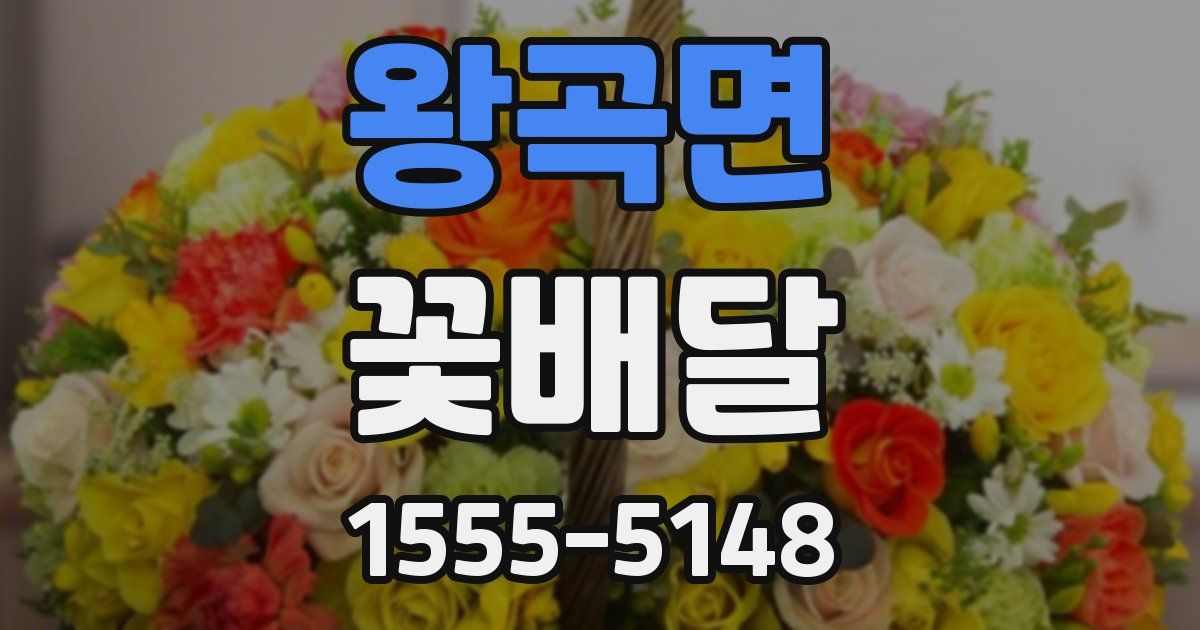 왕곡면 꽃배달
