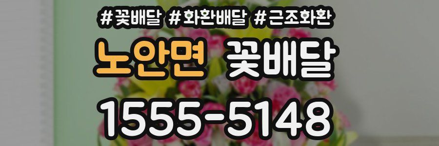 노안면 꽃배달