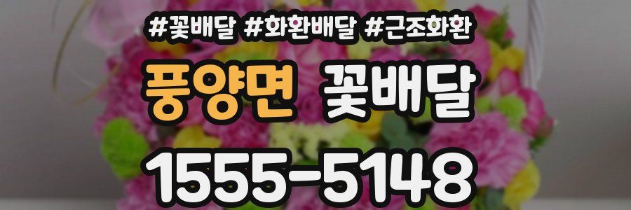 풍양면 꽃배달
