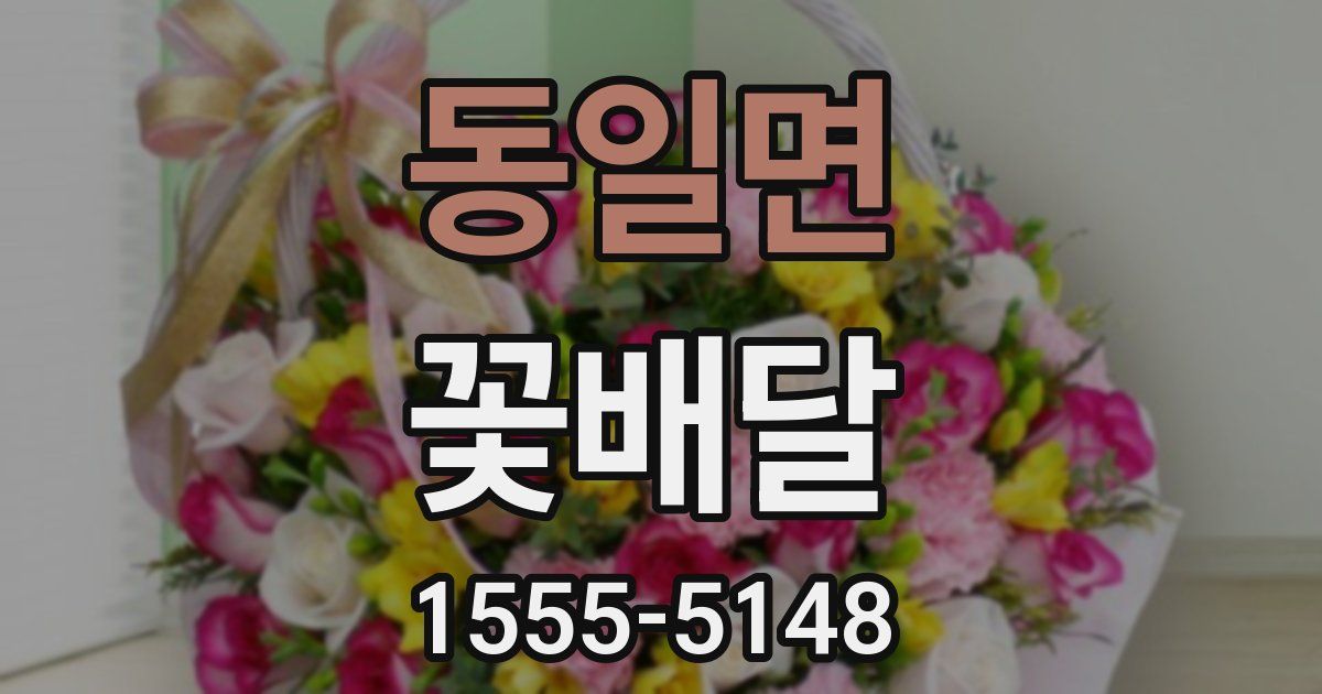 동일면 꽃배달