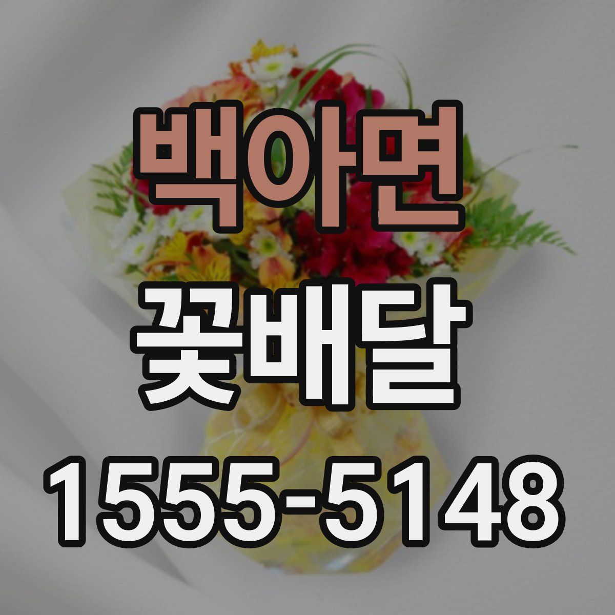 백아면 꽃배달