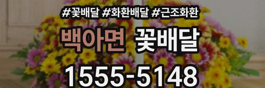 백아면 꽃배달