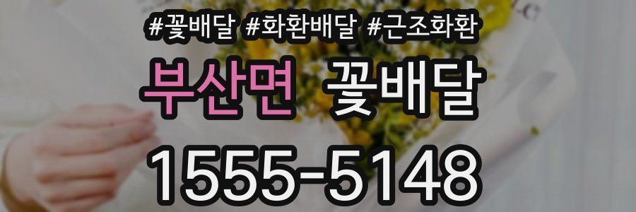 부산면 꽃배달