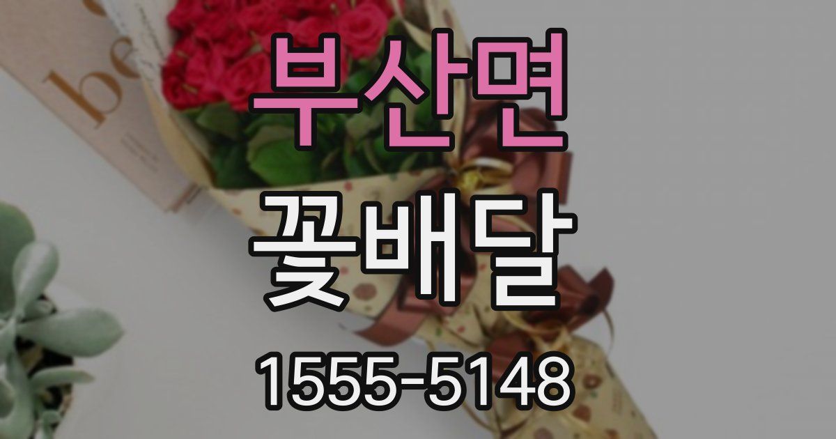 부산면 꽃배달