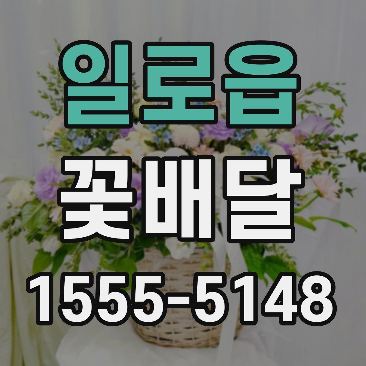 일로읍 꽃배달