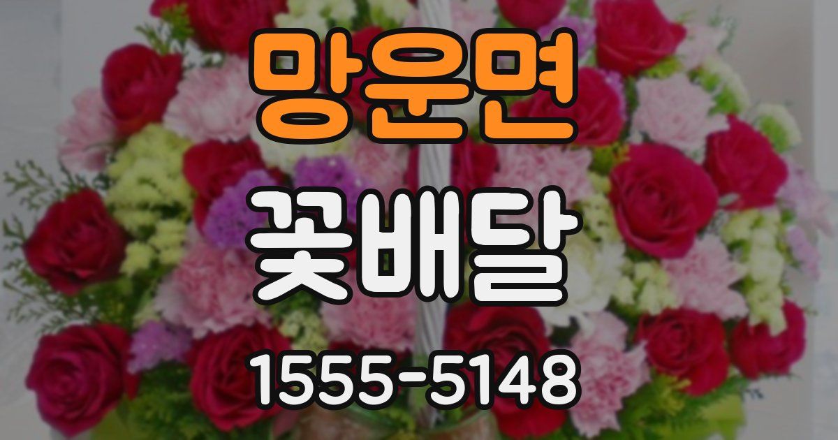 망운면 꽃배달