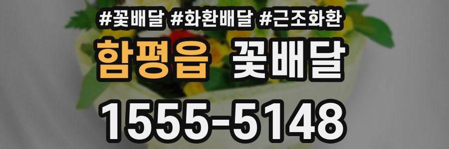 함평읍 꽃배달