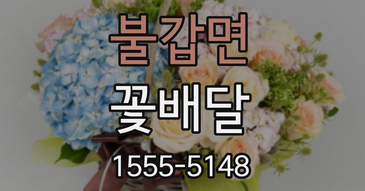 불갑면 꽃배달