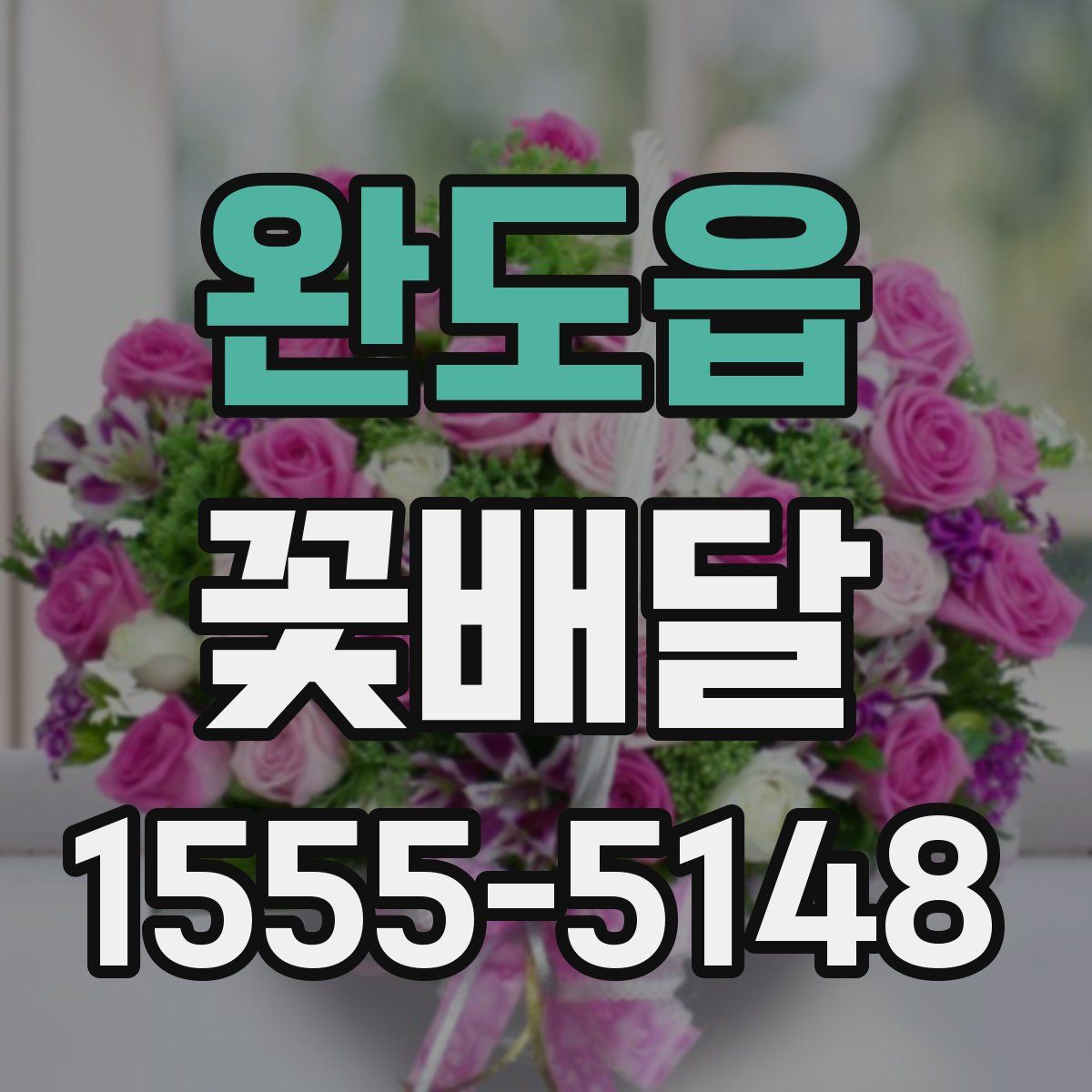 완도읍 꽃배달