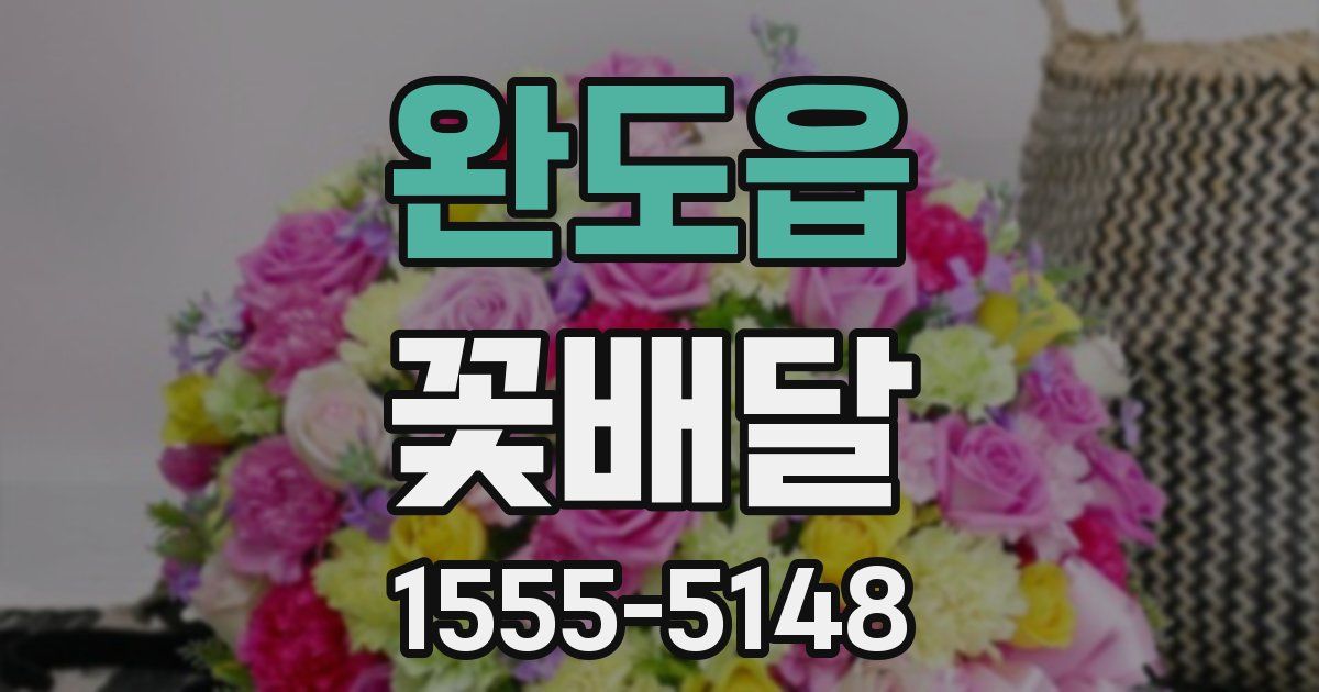 완도읍 꽃배달