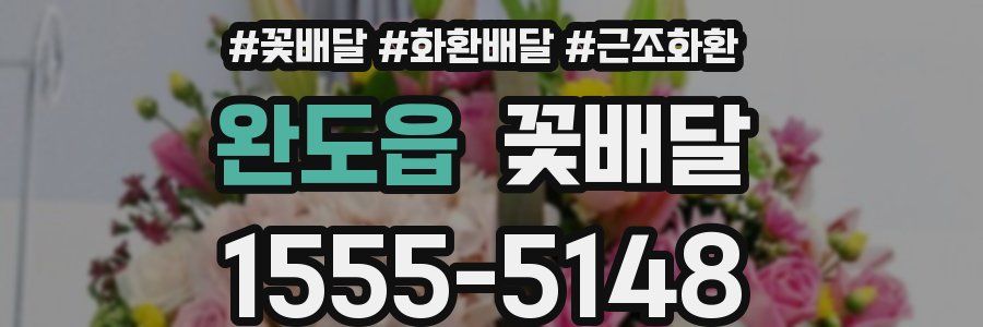 완도읍 꽃배달