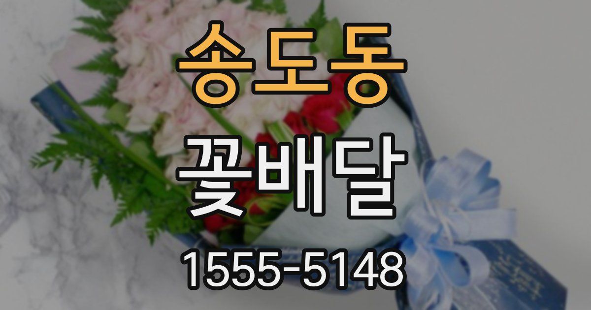 송도동 꽃배달
