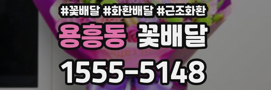 용흥동 꽃배달