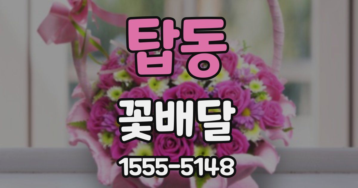 탑동 꽃배달
