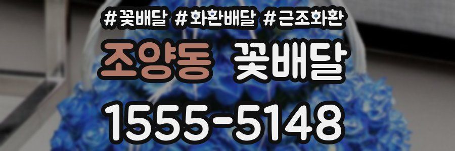 조양동 꽃배달
