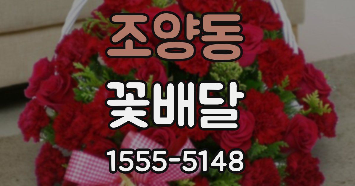 조양동 꽃배달