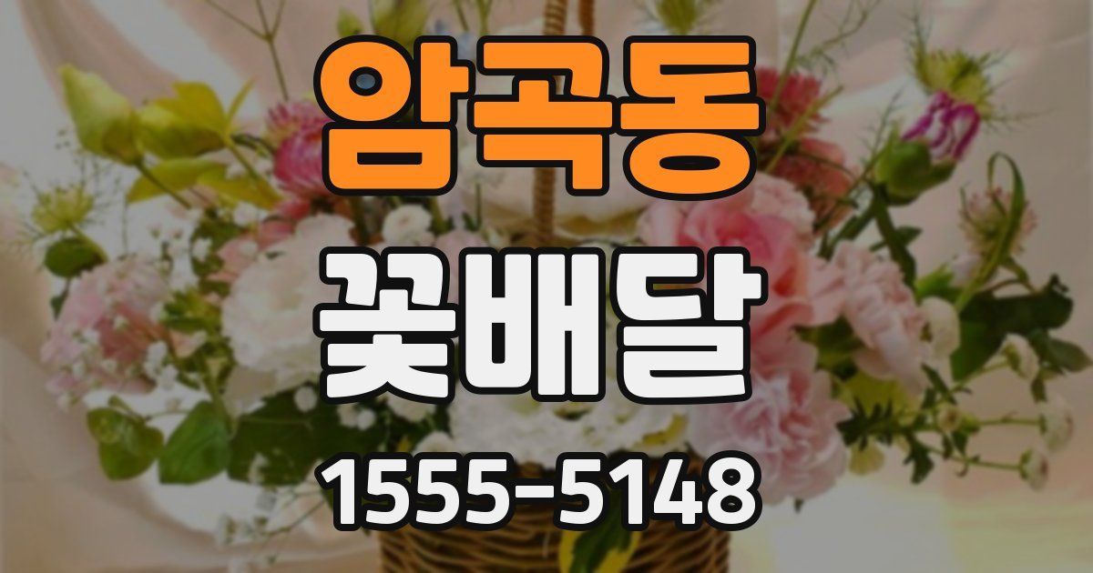 암곡동 꽃배달