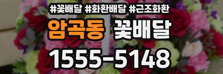 암곡동 꽃배달