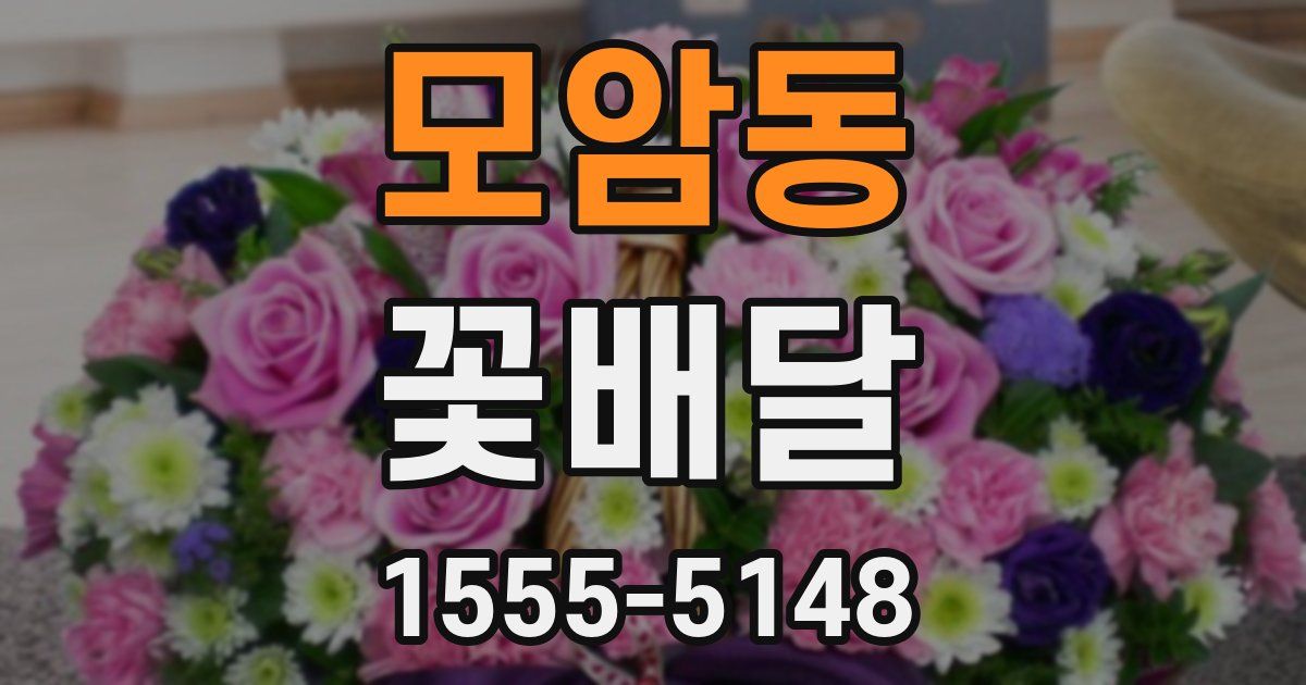모암동 꽃배달