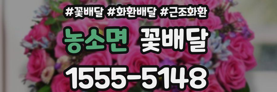농소면 꽃배달