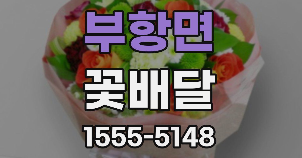 부항면 꽃배달