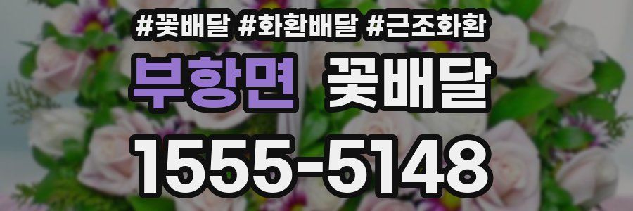 부항면 꽃배달