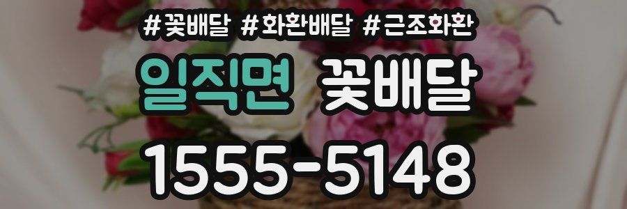 일직면 꽃배달