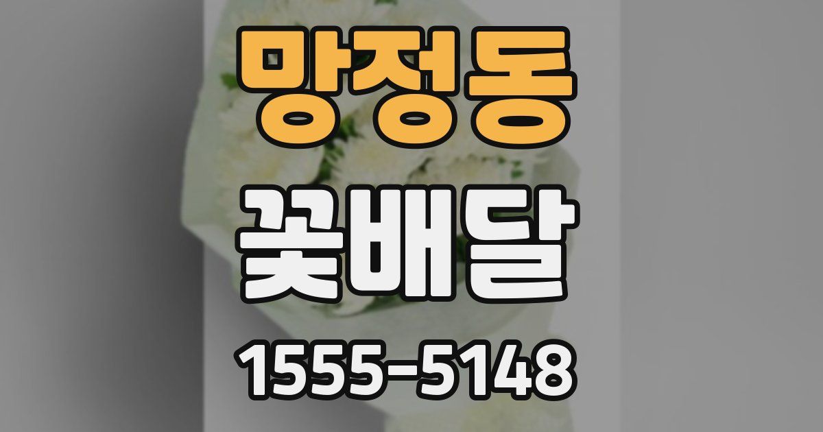망정동 꽃배달