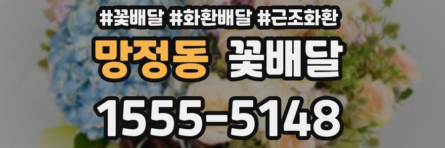 망정동 꽃배달