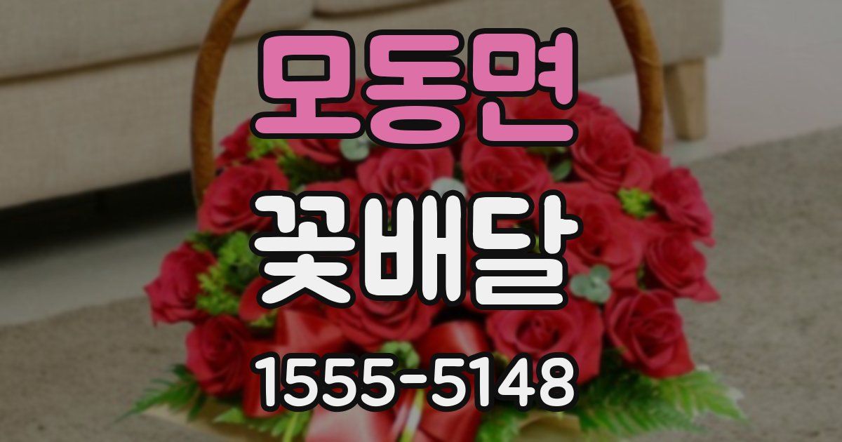 모동면 꽃배달