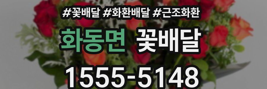화동면 꽃배달