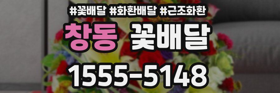 창동 꽃배달