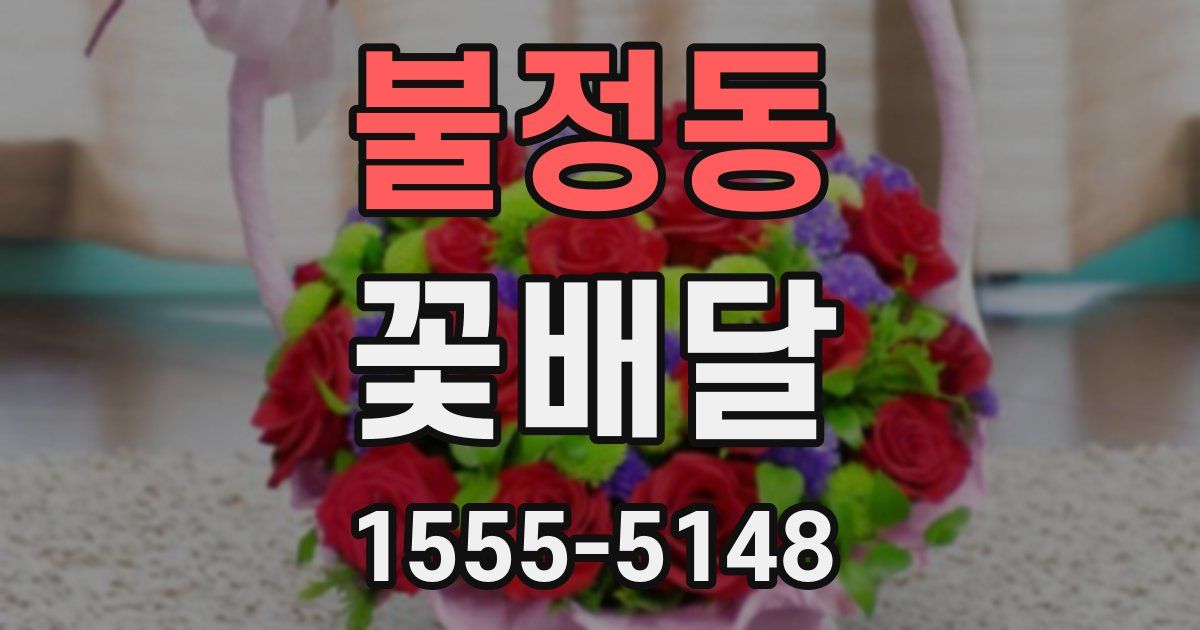불정동 꽃배달
