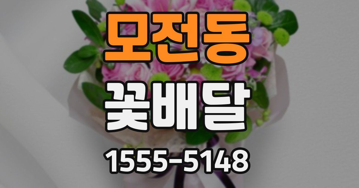 모전동 꽃배달