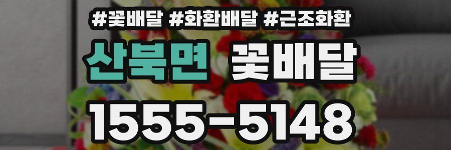 산북면 꽃배달