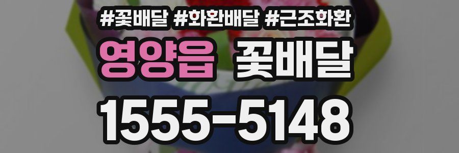 영양읍 꽃배달