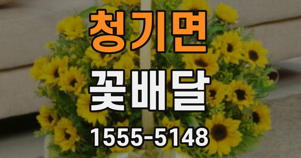 청기면 꽃배달