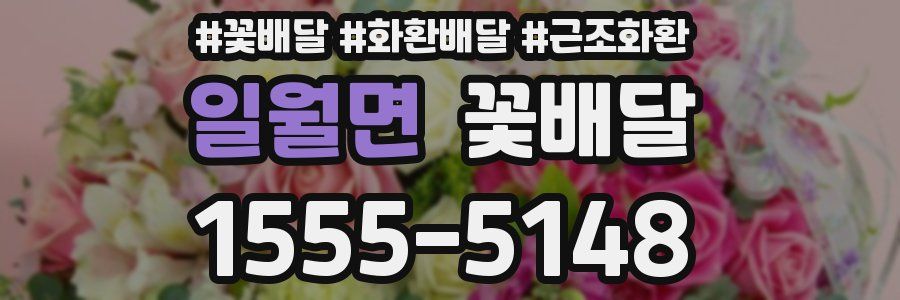 일월면 꽃배달