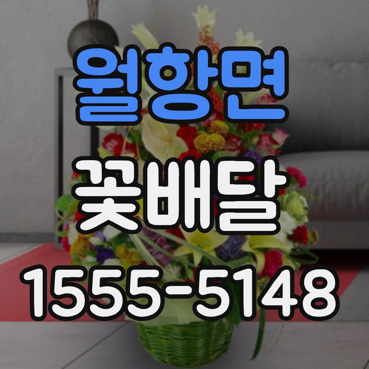 월항면 꽃배달
