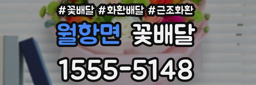 월항면 꽃배달